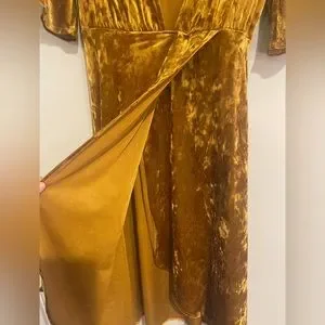green emerald velvet dress Feijie customized light luxury gold velvet dress 2022 winter new women –  Lee Nhi Boutique main image 0